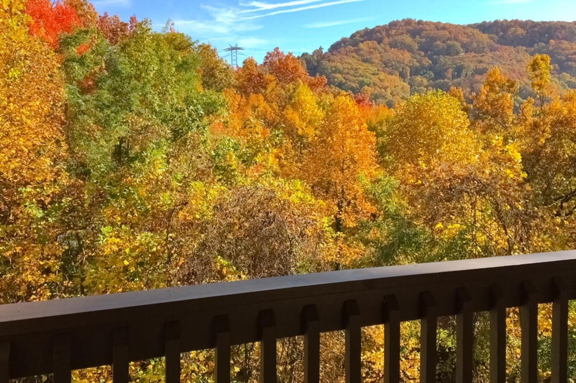 Eagles Nest Escape Apartment Gatlinburg Luaran gambar